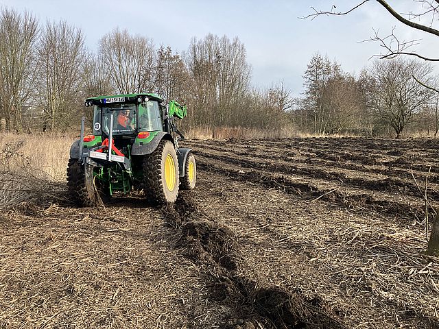 Bodenvorbereitung für die Pflanzungen gegen den Knöterich