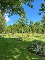 Eine Wiese der Erinnerung - Urnen-Baumwahlgrab auf der Zentralfriedhof der Hansestadt Stralsund