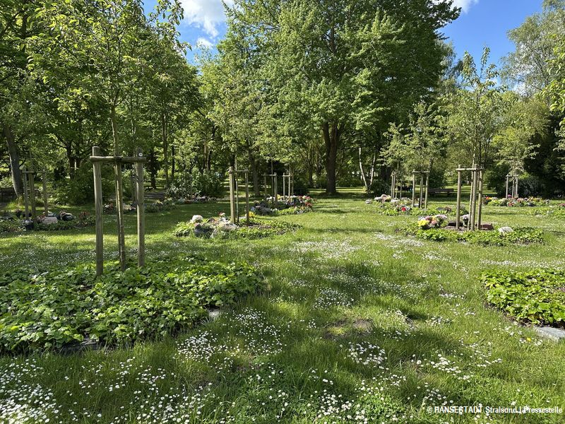 Urnen-Baumwahlgrab - Idylle der Ruhe und Erinnerung