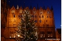 Der festlich geschmückte Weihnachtsbaum vor der Rathausfassade